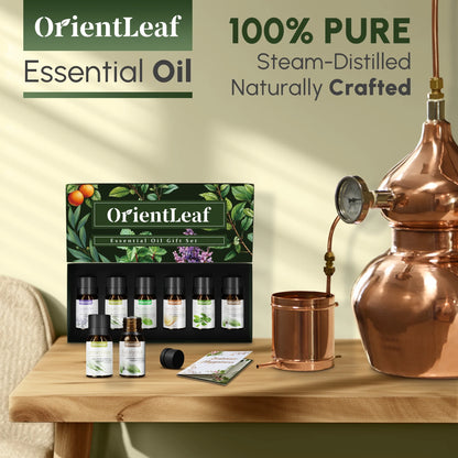 Essential Oils Set with Greeting Card, 100% Pure Essential Oil for Diffuser, Aromatherapy, Sleep, Massage & DIY, Gift Sets for Women