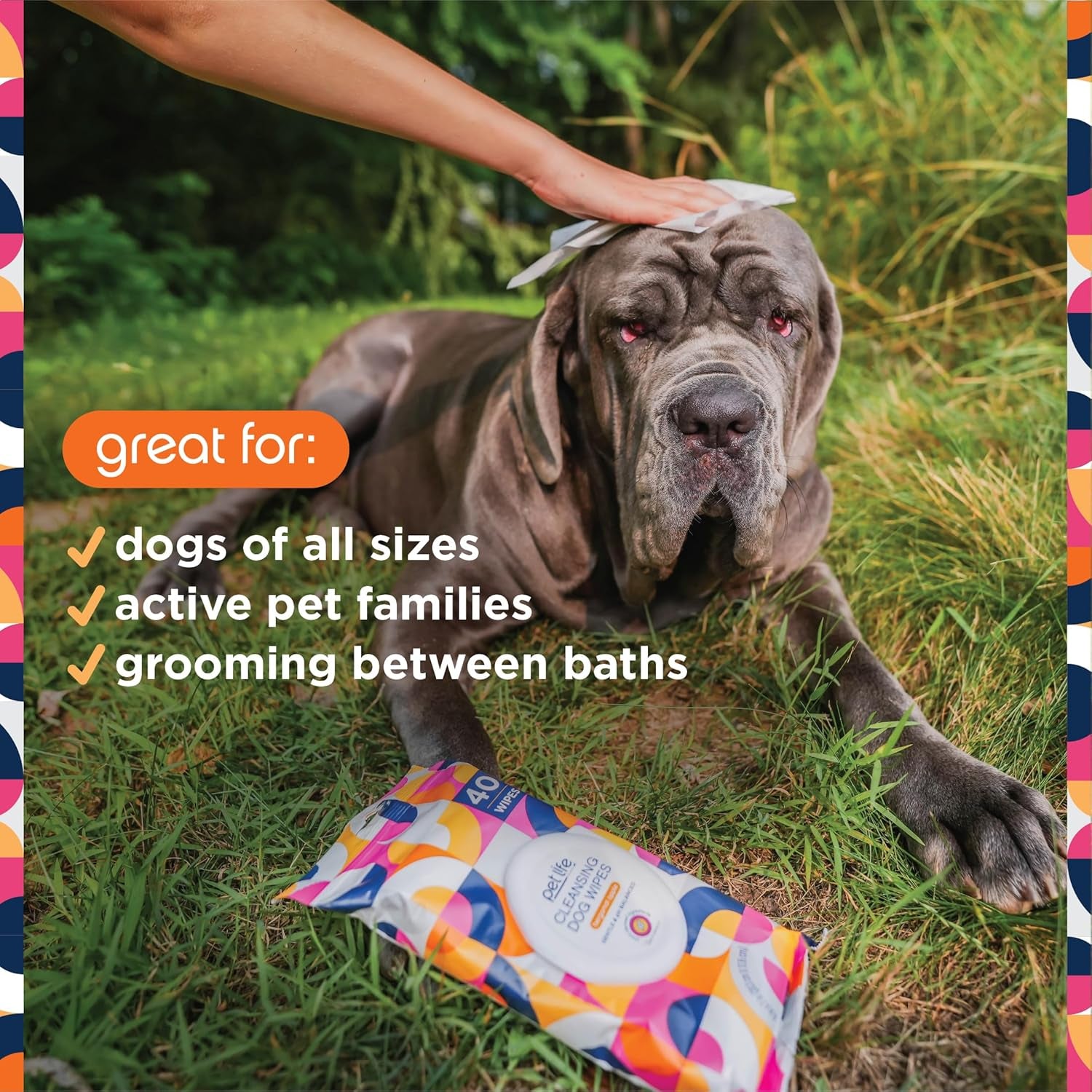 Pet Wipes for Dogs, Dog Cleaning Wipes - Plant-Based Dog Wipes with Moisturizing Aloe Leaf & Calendula - Made in the USA - Bergamot Apple Scent Dog Grooming Wipes - 40Ct (Pack of 1)